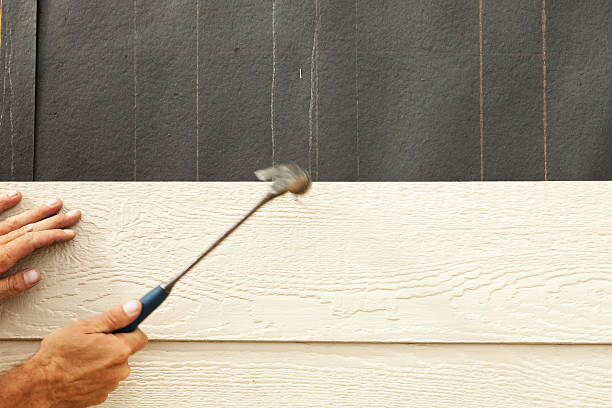 Best Stucco Siding  in Occidental, CA